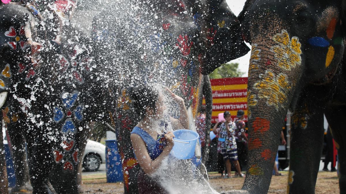 Por qué no deberíamos participar en actividades turísticas que incluyan elefantes