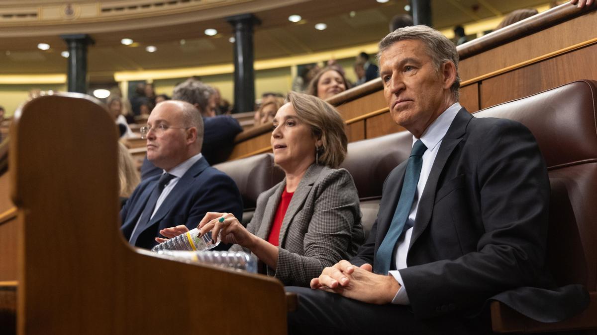 Todo lo que dijo el PP sobre el palacete del PNV en París para justificar su voto en contra del decreto que ahora apoyará