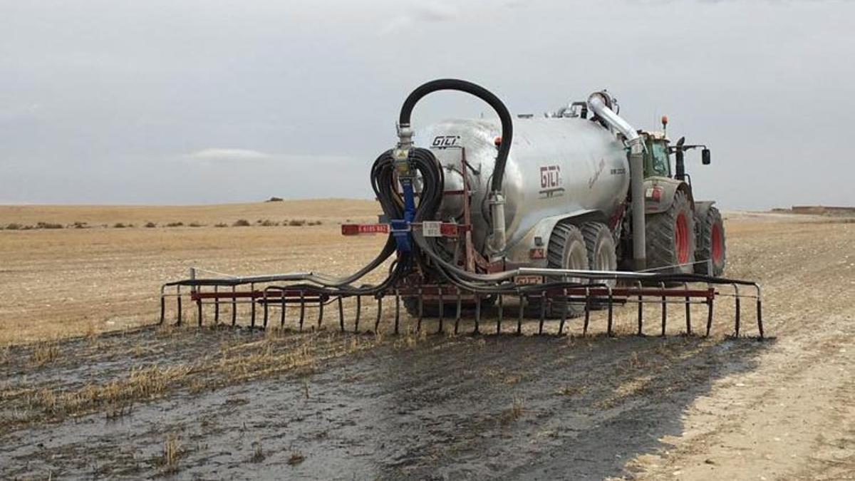 España, incapaz de ‘limpiar’ sus acuíferos de la contaminación vertida por ganadería y agricultura