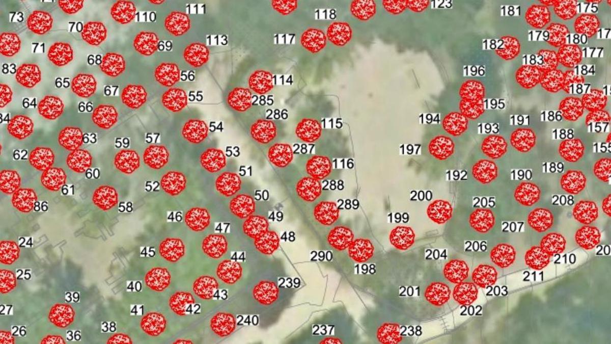 La construcción de la noria gigante de Madrid pone en riesgo 300 árboles del parque Tierno Galván